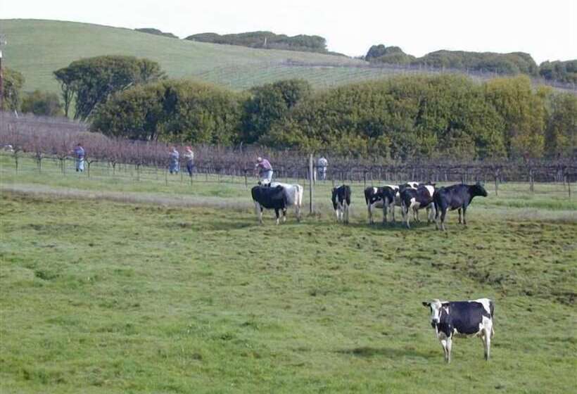فندق Point Reyes Vineyard Inn