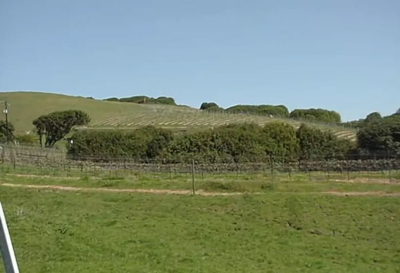 Hotelli Point Reyes Vineyard Inn