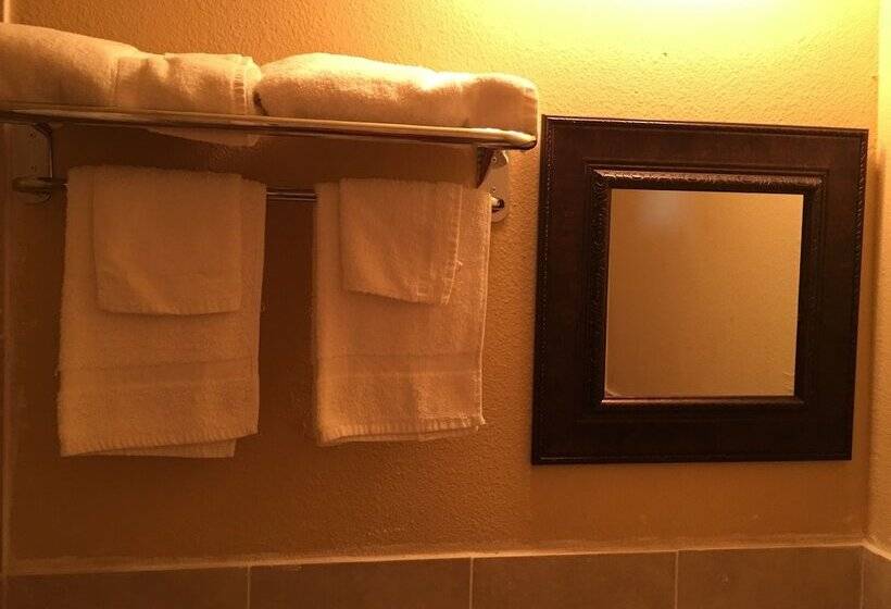 Hotel Reddy Inn And Suites