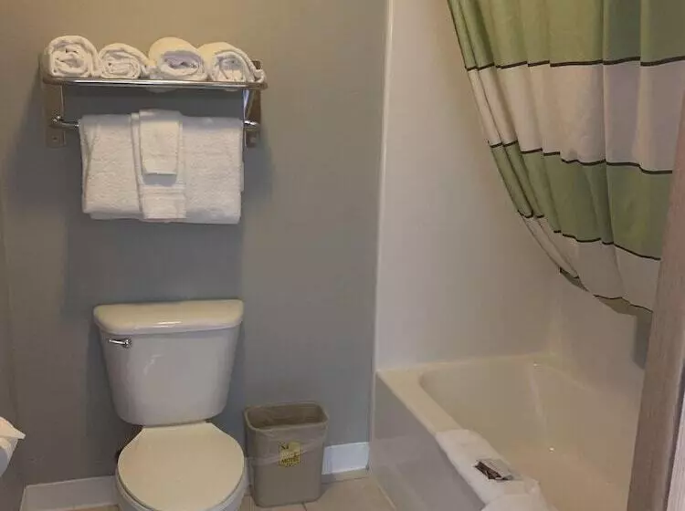 Mammoth Spring Lodge Motel