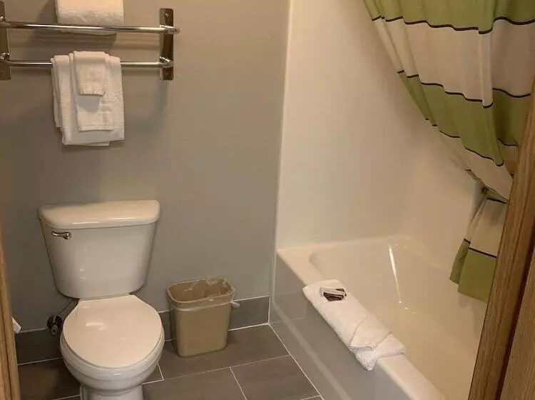 Mammoth Spring Lodge Motel