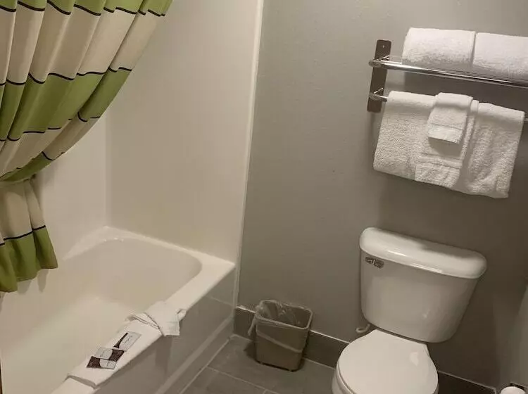 Mammoth Spring Lodge Motel