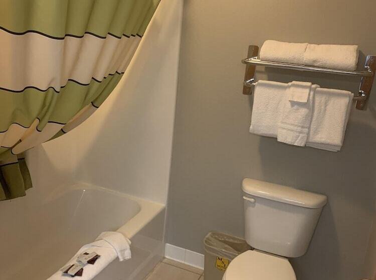 Mammoth Spring Lodge Motel