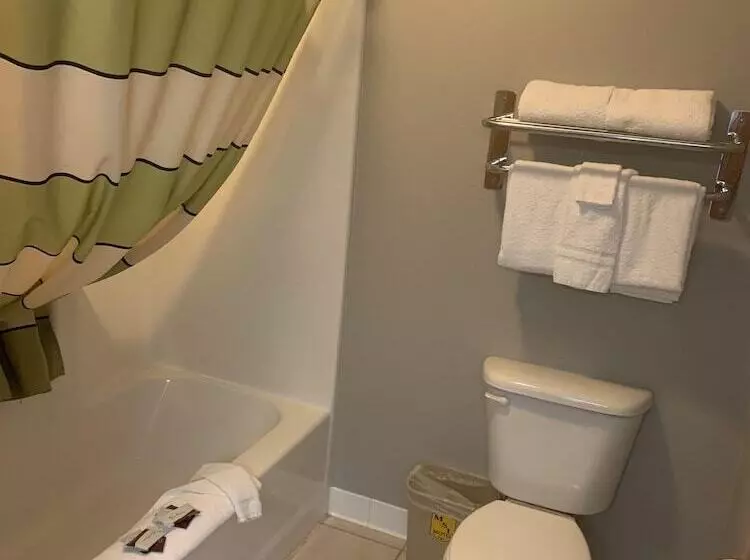 Mammoth Spring Lodge Motel