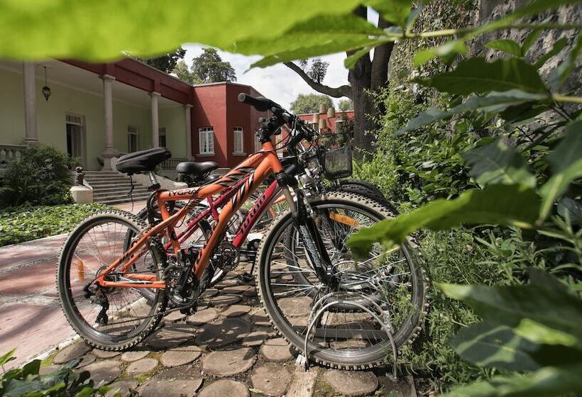 Hotelli Casa Moctezuma