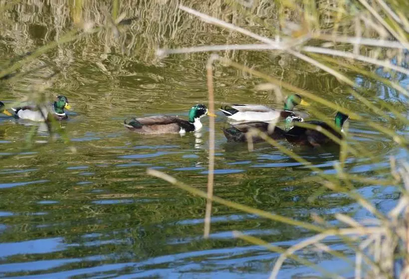 ホテル Monte Da Chalaça