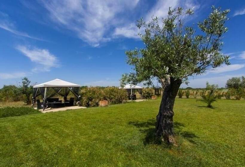 Отель Monte Da Chalaça