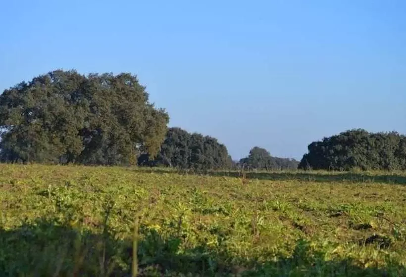 ホテル Monte Da Chalaça