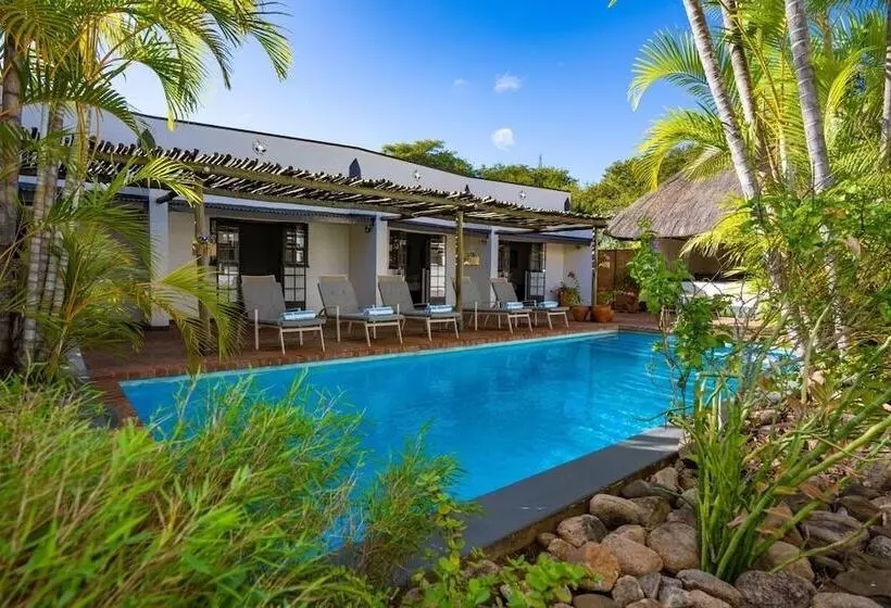 تختخواب و صبحانه Amadeus House