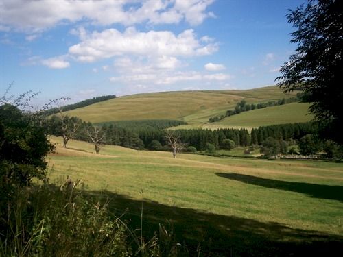 ベッドアンドブレックファースト The Coppice