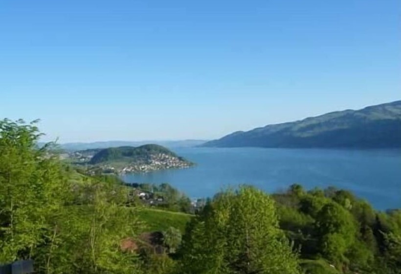 Отель Bellevue Bären