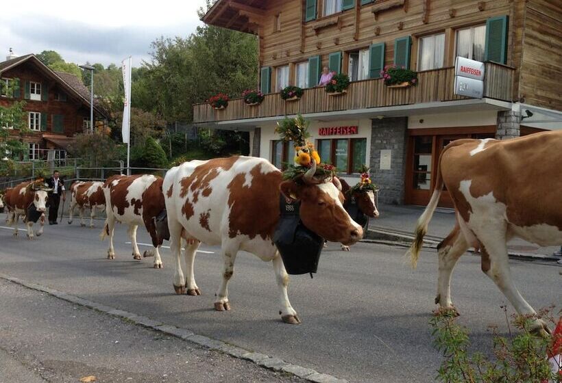 Отель Bellevue Bären