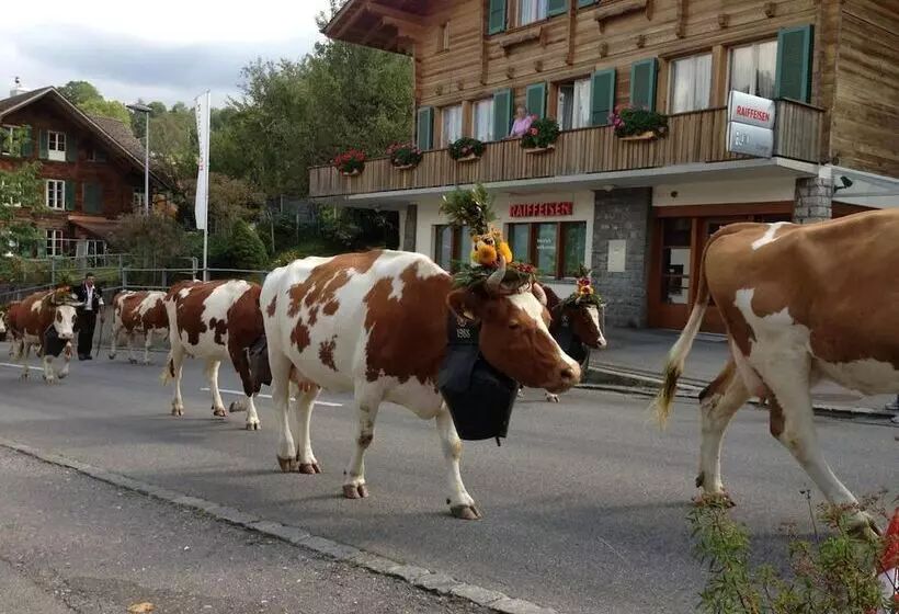 Отель Bellevue Bären