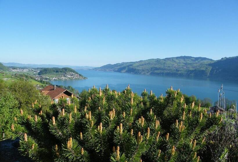 Отель Bellevue Bären