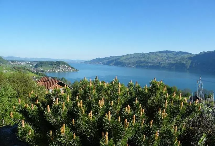 Отель Bellevue Bären