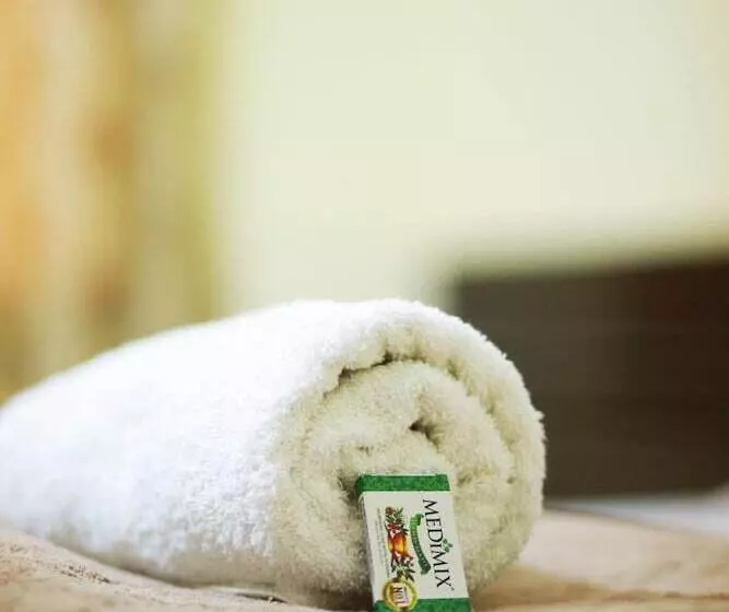 Отель Geetanjali