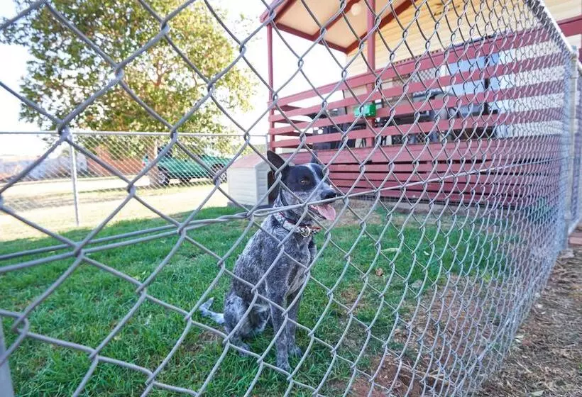 בית מלון כפרי Nrma Dubbo Holiday Park