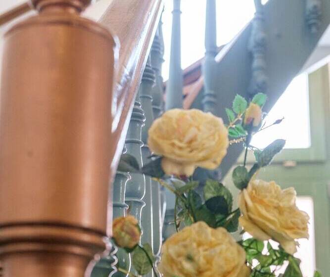 בית מלון כפרי Vilelmine