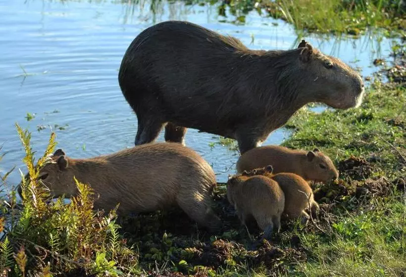 ホテル Nande Reta