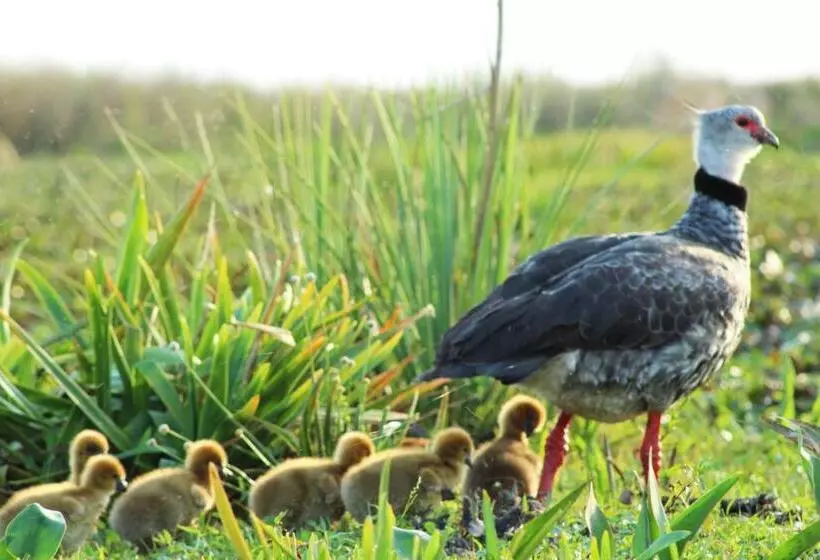 ホテル Nande Reta