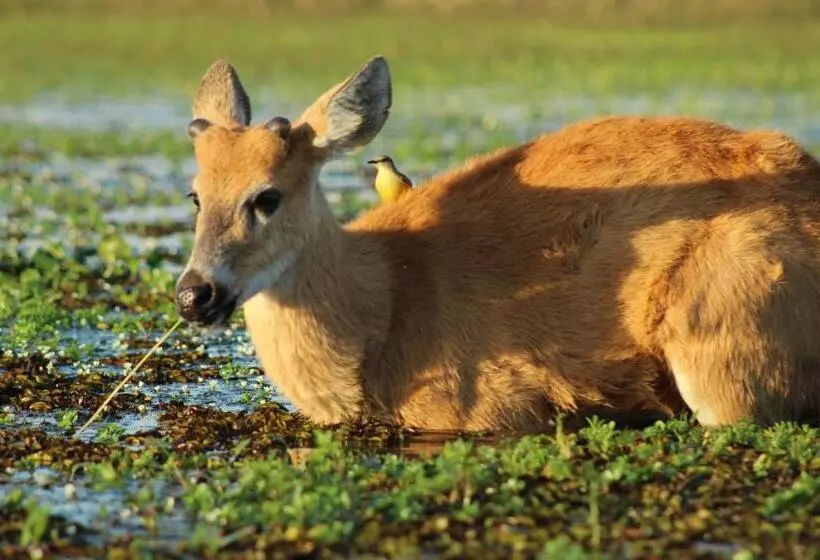 ホテル Nande Reta