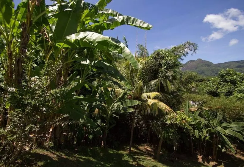 تختخواب و صبحانه Lemongrass Lodge