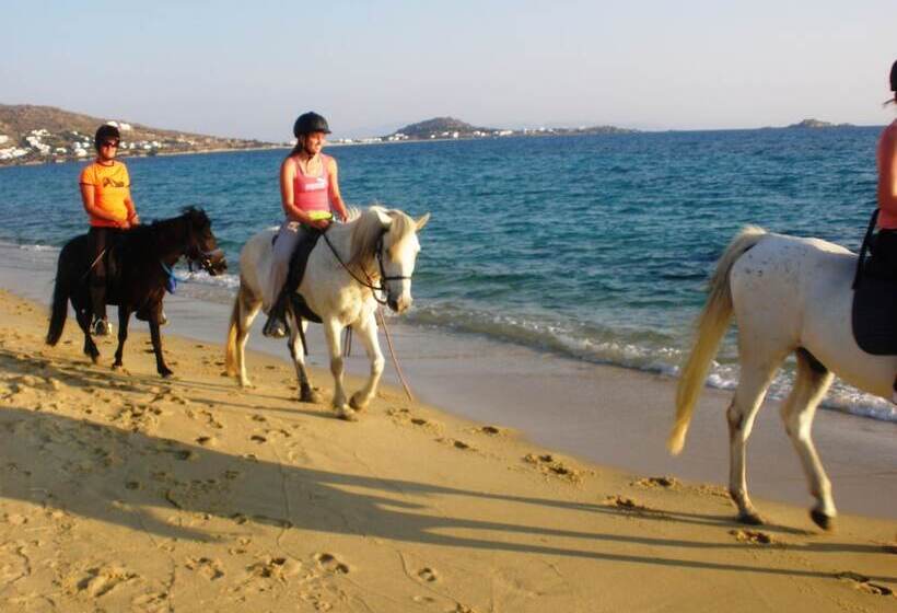 Blue Harmony Apartments