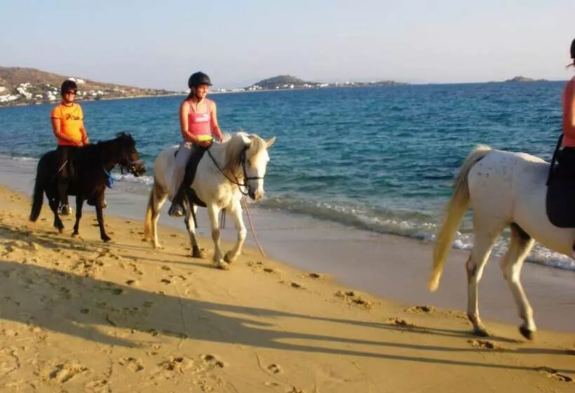 Blue Harmony Apartments