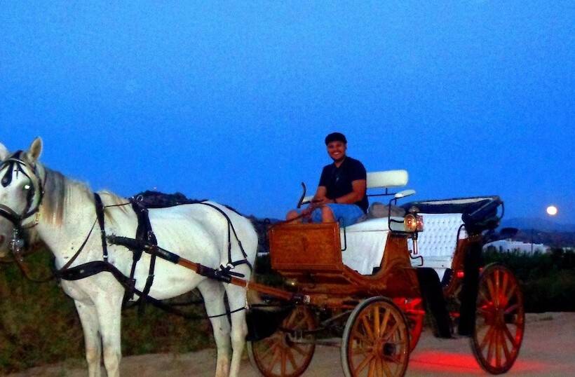 Blue Harmony Apartments