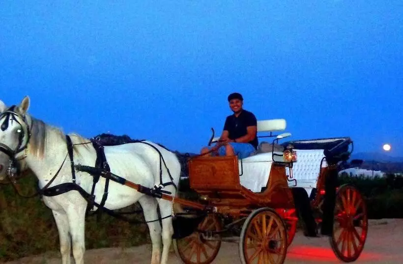 Blue Harmony Apartments