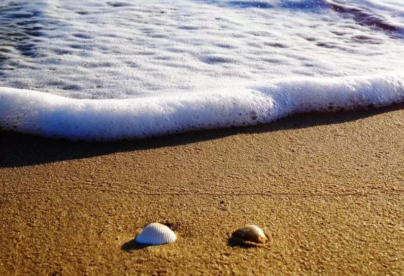 Blue Harmony Apartments