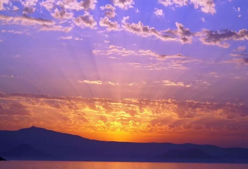 Blue Harmony Apartments