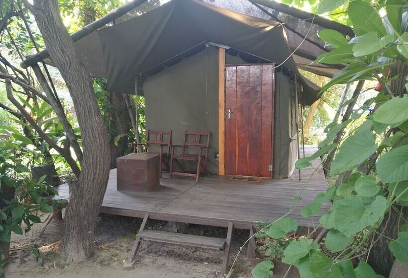 فندق Caprivi Houseboat Safari Lodge