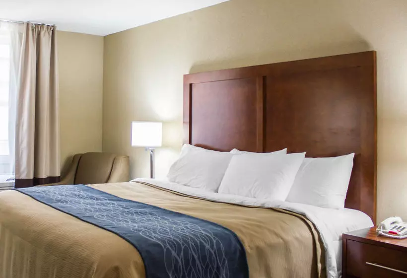 فندق Comfort Inn