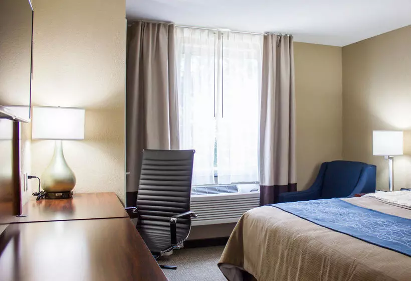 فندق Comfort Inn