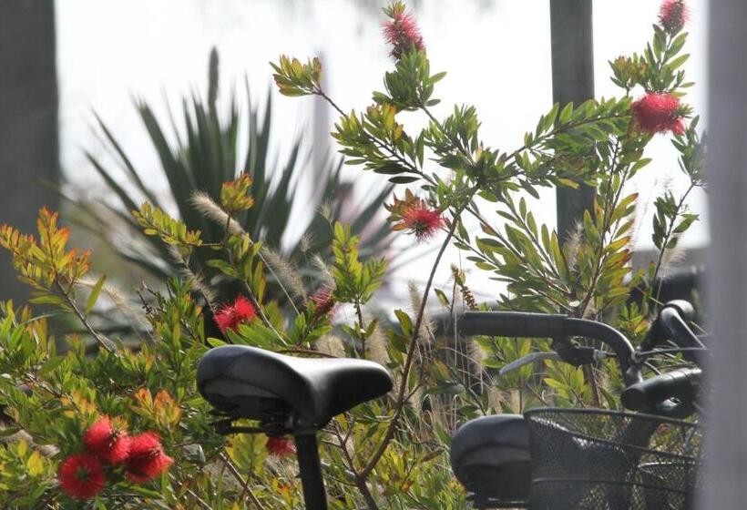 酒店 Righetto Fronte Mare