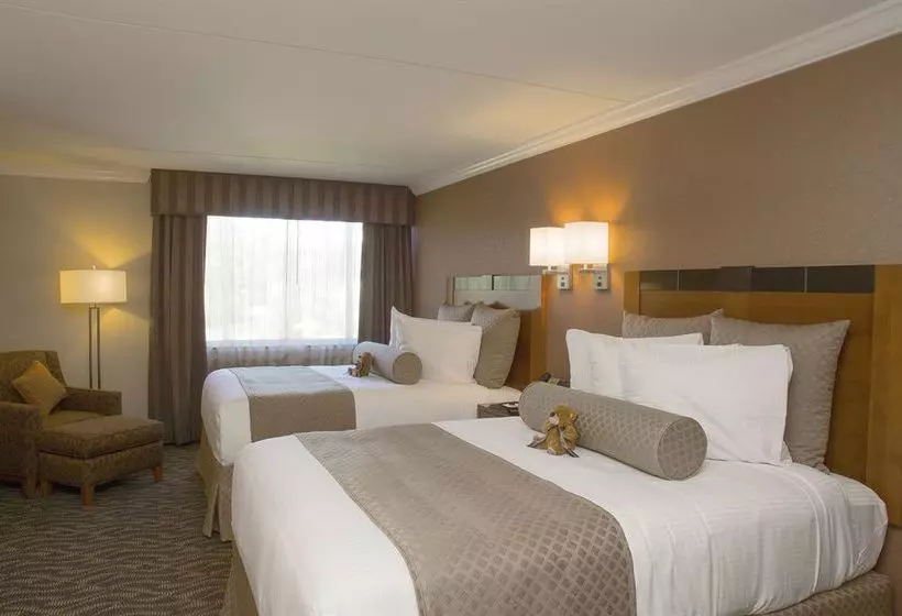 酒店 Bushkill Inn And Conference Center