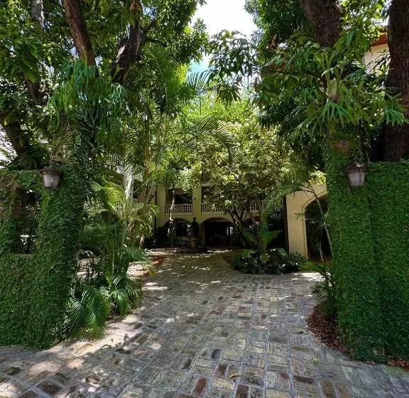 هتل Villa Therese