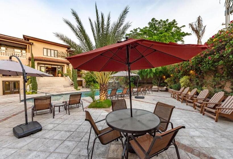 هتل Villa Therese