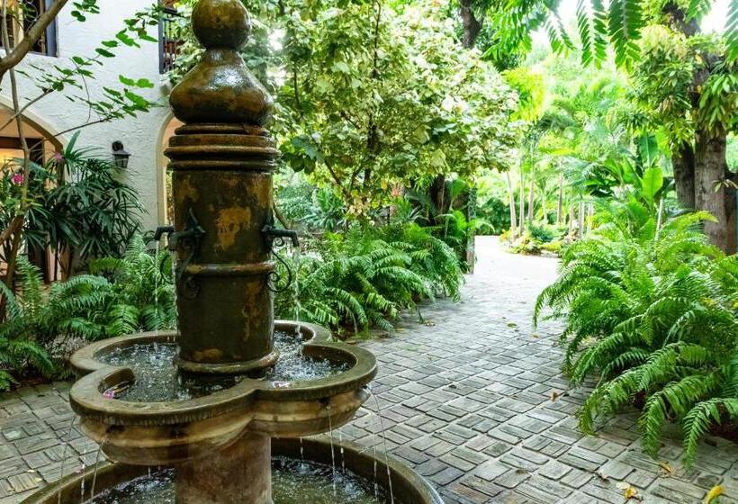 هتل Villa Therese