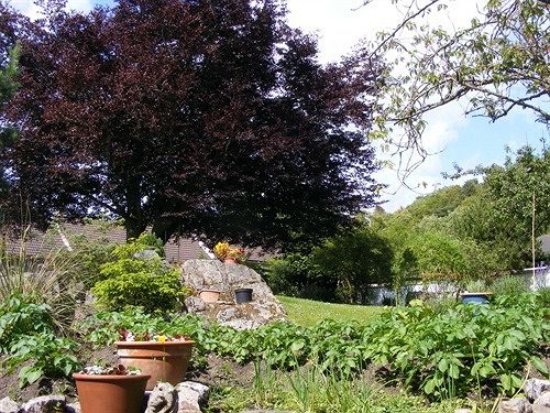 Panzió Trewan Guest House