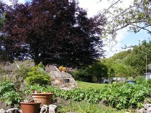 膳宿费 Trewan Guest House