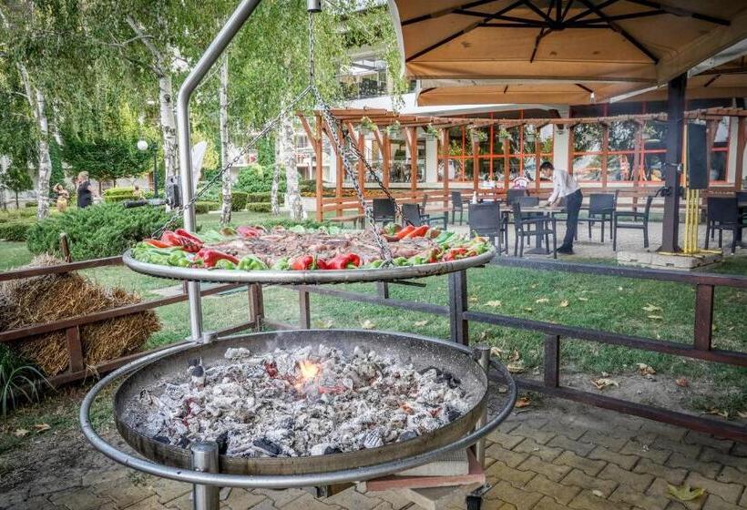 リゾートホテル Kaliakra Beach Hotel   Ultra All Inclusive