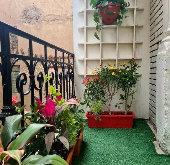 The Australian Hostel