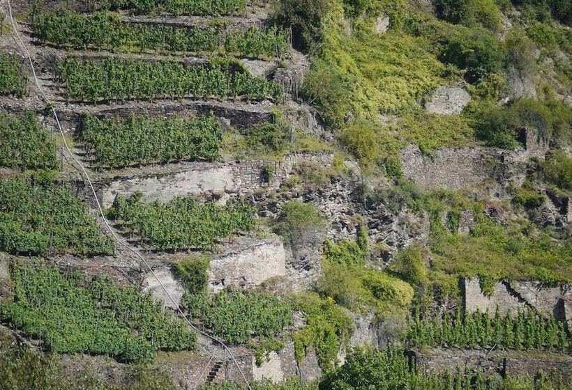 בית מלון כפרי Kachelburg