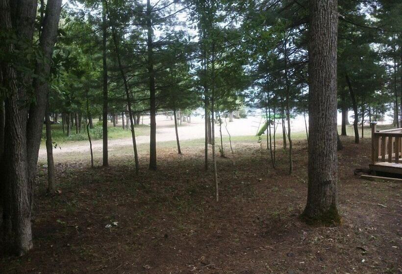 호스텔 Pine Lodge