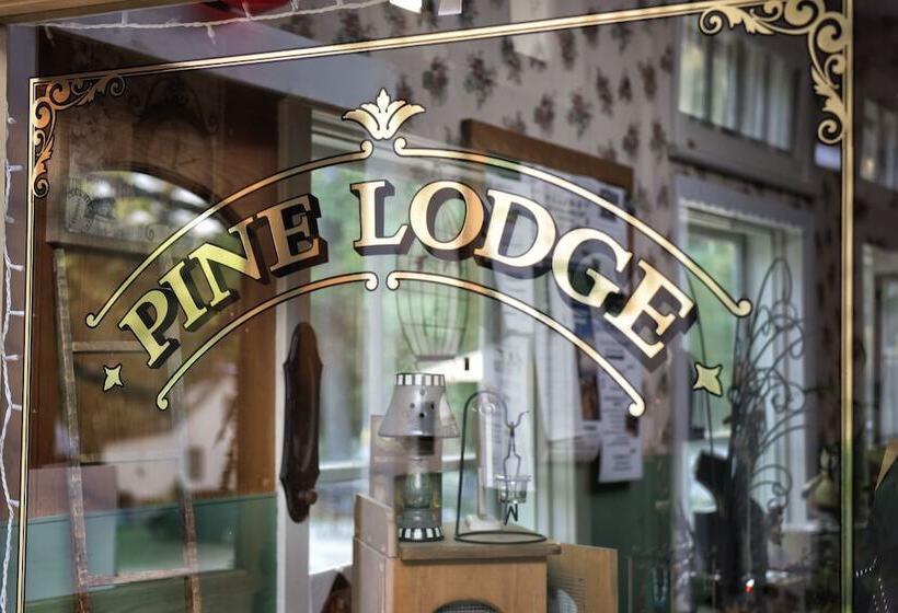 호스텔 Pine Lodge