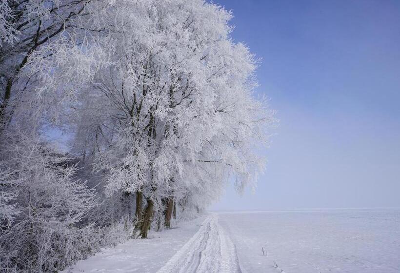 Bed and Breakfast The Silent Picket