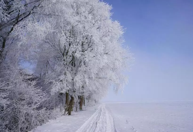 ベッドアンドブレックファースト The Silent Picket