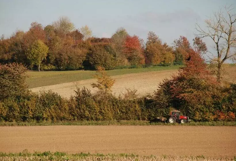 ベッドアンドブレックファースト The Silent Picket